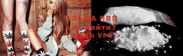 дживик Лагань