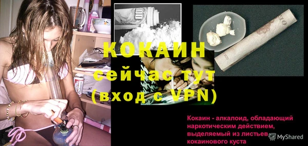 шишки Кулебаки